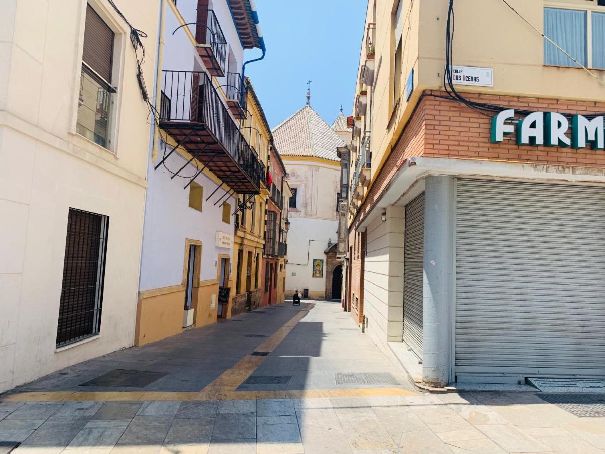 Homely Malaga Parras Con Terraza Interior Y Parking Privado Bajo Suplemento Exterior photo